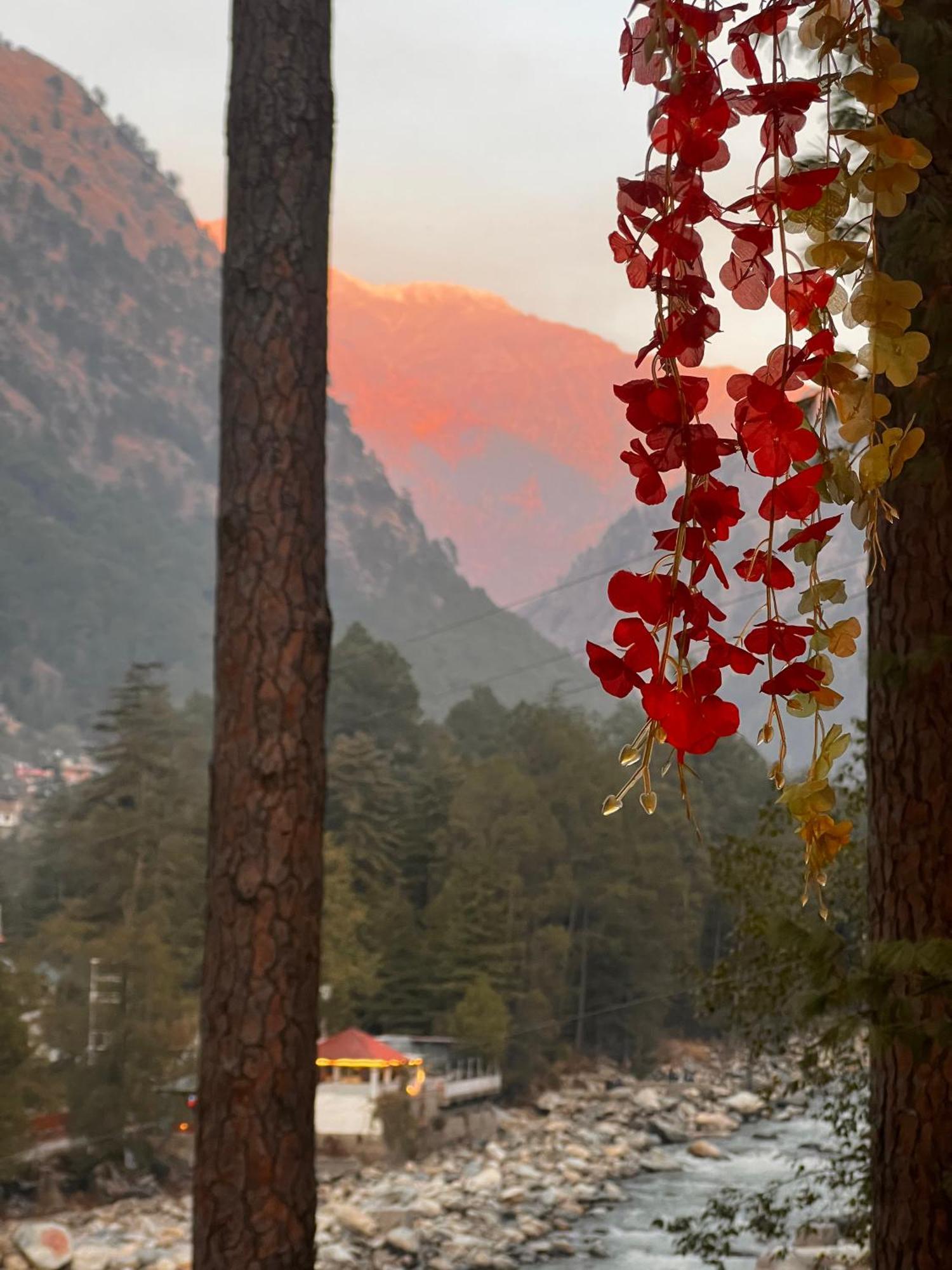 Ahava Kasol Riverside Cafe And Cottages Eksteriør billede